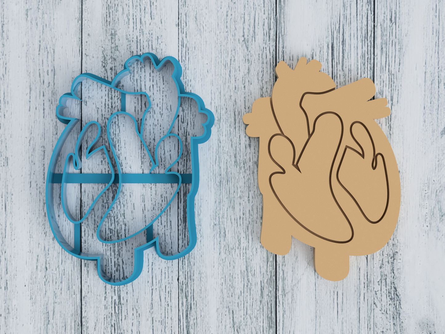 Heart Anatomy - Cookie Cutter / Sugar Cookie / Fondant / Clay (0268)