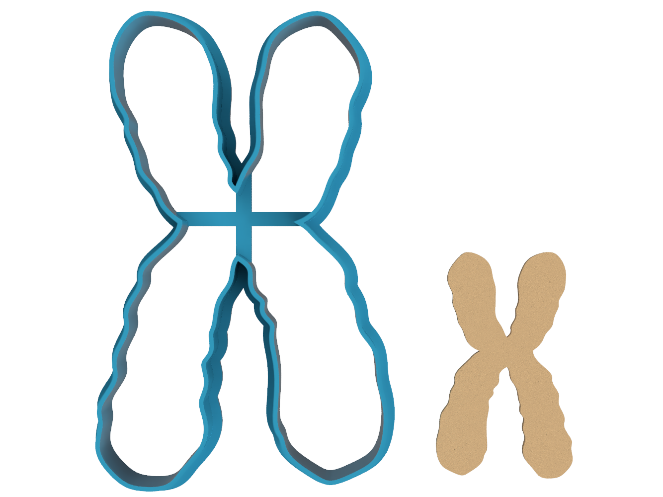 Chromosome - Cookie Cutter / Sugar Cookie / Fondant / Clay (1051)