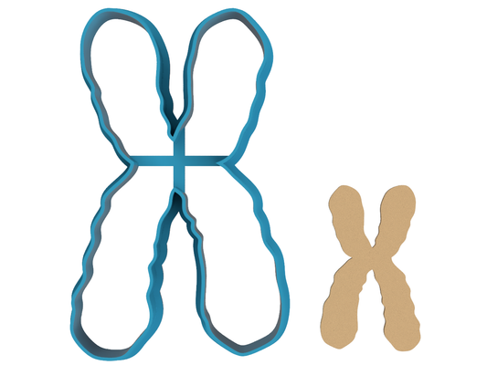 Chromosome - Cookie Cutter / Sugar Cookie / Fondant / Clay (1051)