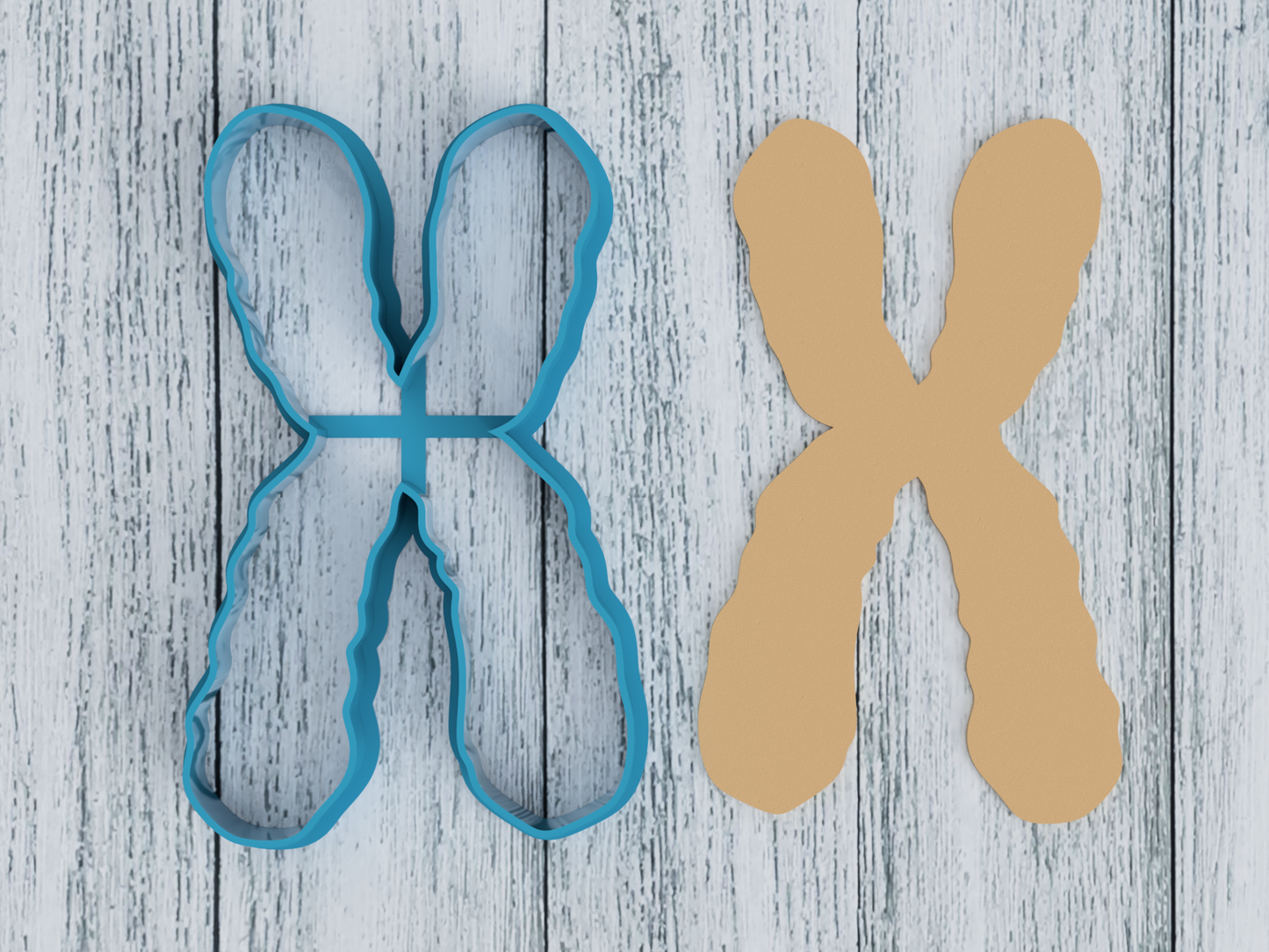 Chromosome - Cookie Cutter / Sugar Cookie / Fondant / Clay (1051)