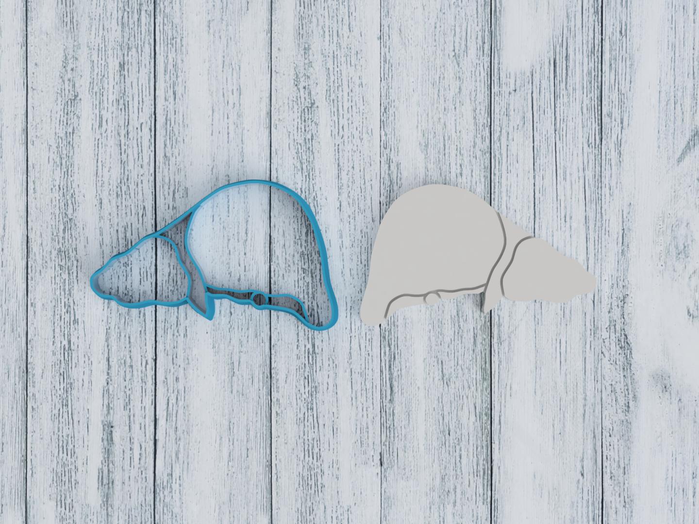 Liver Cookie Cutter / Sugar Cookie / Fondant / Clay (1297)